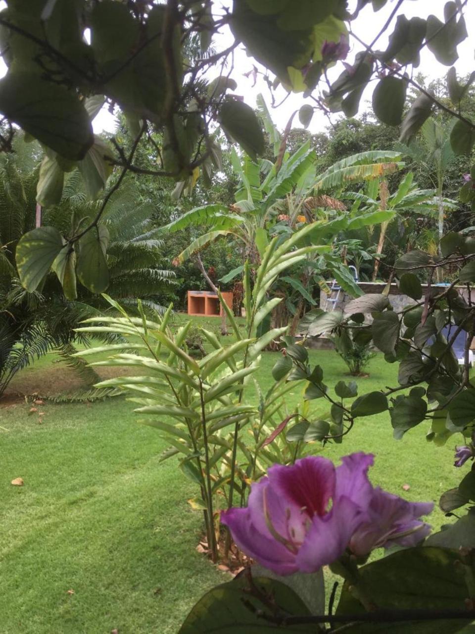 Villa Labellaventura Las Galeras Esterno foto